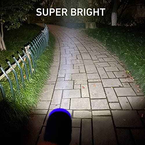 24-Pack Small Flashlights Set, Super Bright 100 Lumen LED Flashlight Pack with 72-Piece AAA Batteries Included, Mini Flashlight, Outdoor Flashlight for Camping, Hiking, Emergency