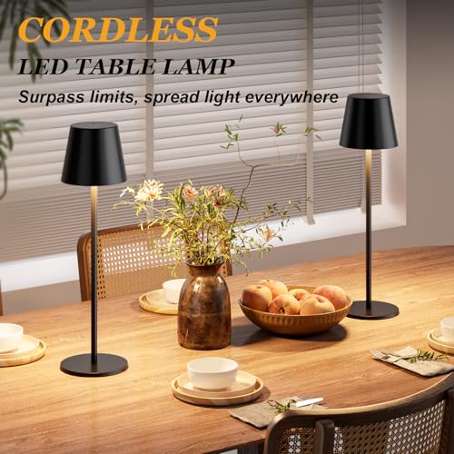 Black Matte Rechargeable Cordless Table Lamp Set with Touch Control & 3 Color Modes