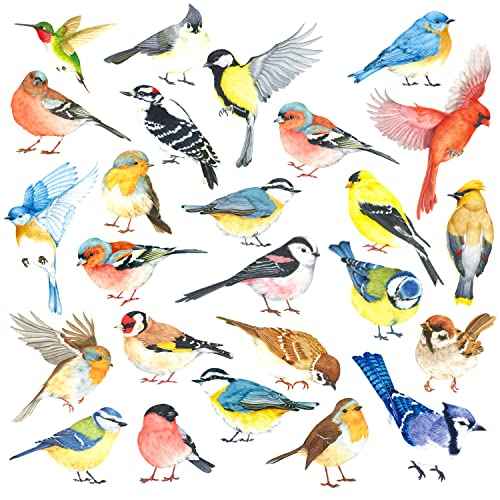 DECOWALL DS4-8063 25 Little Birds Wall Art Decals Stickers Kids Peel and Stick Removable Nursery Bedroom Living Art d?cor Tree Flying Branch DIY Vinyl Home Decoration Flower Watercolor Colorful
