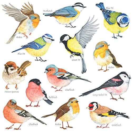 DECOWALL DS2-8038 Little Birds Kids Wall Stickers Wall Decals Peel and Stick Removable Wall Stickers for Kids Nursery Bedroom Living Room (Small) d?cor