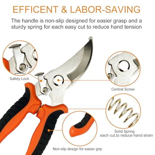 Garden Pruning Shears Set with Gloves – 5 Pack Stainless Steel Handheld Clippers