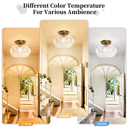 OYKYOHEI Vintage Gold Globe Glass Semi Flush Mount Ceiling Light 9.38 Inch