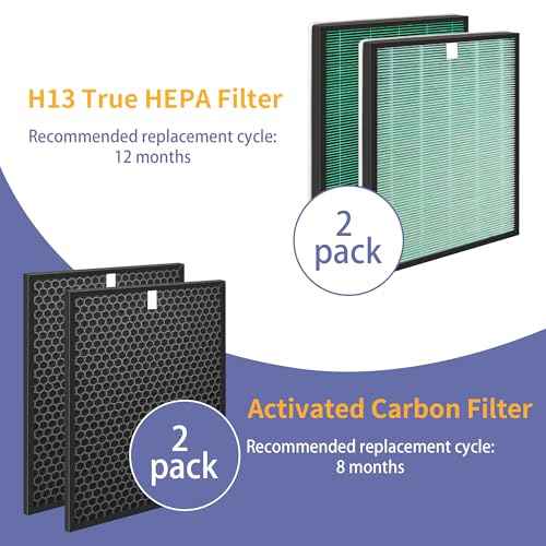 SPA-550A Filter Replacement Compatible With Rabbit Air BioGS 2.0 Air Purifiers, Model SPA-550A and SPA-625A, 2 True HEPA(H13) Filters + 2 Activated carbon Filters
