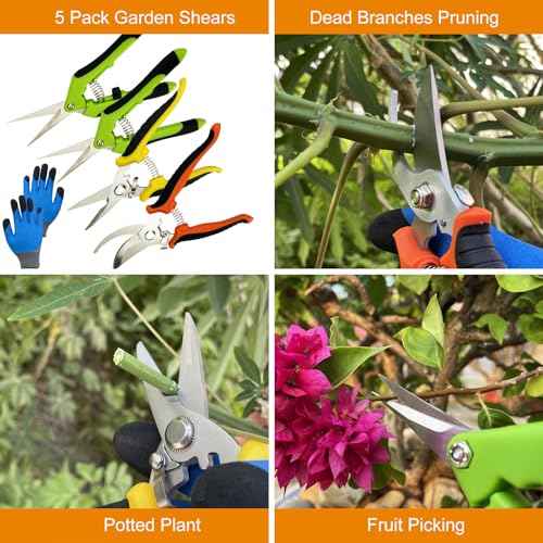 Pruning Shears, 5 Pack Garden Shears with Gardening gloves, Clippers Handheld, Stainless Steel Garden Snips, Lengnoyp Pruners for Gardening