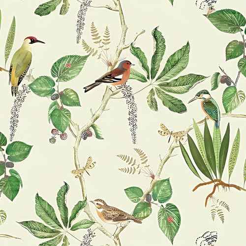 Jeweluck Vintage Bird Wallpaper Peel and Stick Leaf Contact Paper 16.9in x 118.1in Vintage Bird Contact Paper Botanical Peel and Stick Wallpaper Self Adhesive Removable Butterfly Decor Wall Vinyl