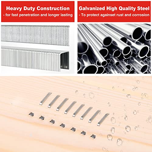 SHALL Heavy Duty T50 Staples & 18GA Brad Nails Combo Kit - 8000 Count, Multiple Sizes