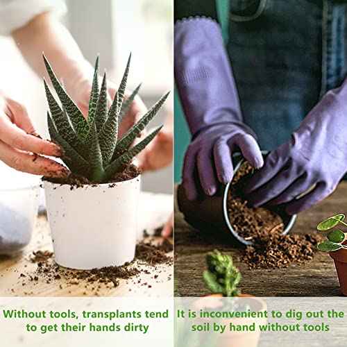 Small Garden Tool Set, 6 Pieces Iron Gardening Kit Including Hand Shovel, Transplant Shovel and Hand Rake with Wood Non-Slip Handle Perfect for Plant Lovers