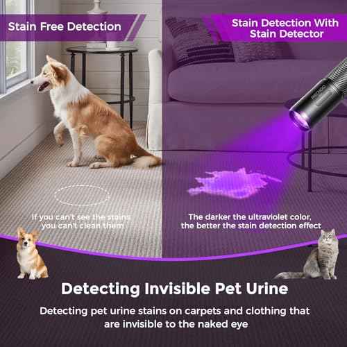 RECHOO Black Light UV Flashlight, 395nm Blacklight Rechargeable Flashlights UV Light, Portable Mini Black Light for Pet Urine Detection, Bed Bug, Dry Stains, Resin Curing, Scorpions Finder
