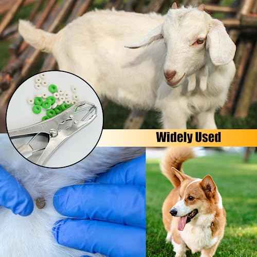 Goat Banding Kit, Stainless Steel Bander Snap Pliers with 70Pcs 2 Sizes Rings, Ring Installation Tool, Balloon Expander Pliers Tool