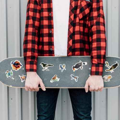 Pack 50 Pcs Cute Animal Bird Stickers for Water Bottles Waterproof Laptop Luggage Computer Scrapbooking Teens Adults Girls Kids Boys Aesthetic Sticker Packs Small Vinyl Decals