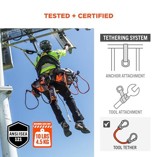 Ergodyne - 19002 Squids 3100 Tool Lanyard with Single Carabiner and Adjustable Loop End, Standard Length, Black