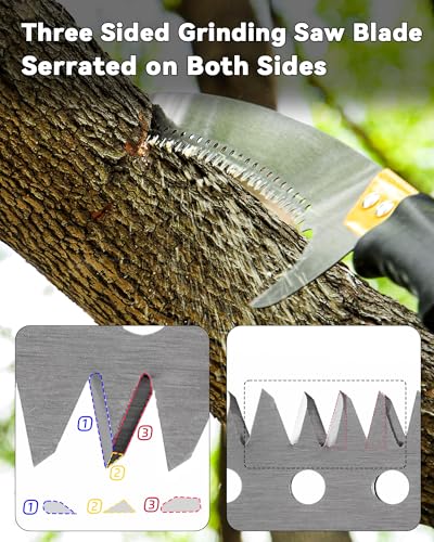 BlumeTrec 14.5FT Pole Saw with Adjustable Length Tree Trimming Tool
