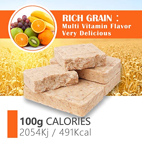 BDH Emergency Food Ration Bars Fruity Flavor 12 Pack – Long Shelf Life Survival Meal
