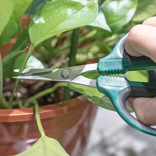 SKINNYBUNNY Bonsai Shears with 40mm Durable Stainless Steel Blades, Precise Trimming and Pruning, Garden Scissors Ideal in Flowers and Bonsai Trees