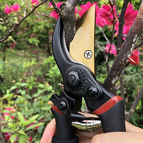 Gonicc 8-Inch Premium Titanium Bypass Pruning Shears - Golden Version