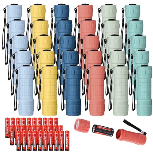 30 Pack 9 LED Small Mini Flashlight Set Plastic Handheld Flashlights with Lanyard, 3 AAA Batteries Included for Kids Night Reading Camping Emergency Hunting, 6 Color (Muted Color)