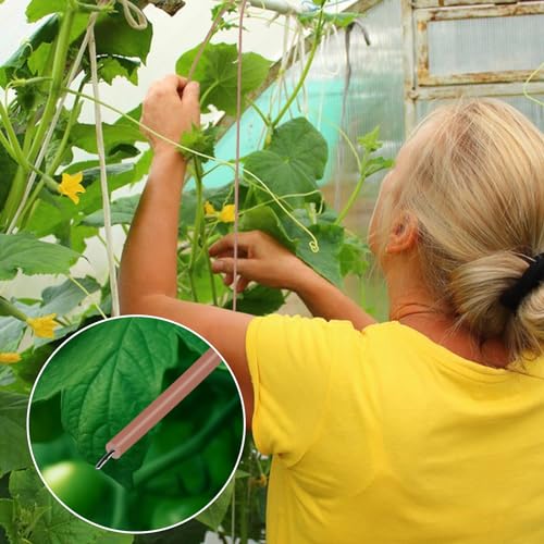 130 Feet Soft Plant Tie Brown Twist Garden Ties for Plants Gardening Home Office Organization TPR Garden Ties Supplies with 2.5mm Diameter