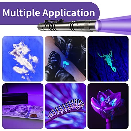 Black UV Flashlight 2 Pack - 395nm Mini Pen Light with Clip Waterproof for Pet Urine, Stains, Leak Detection
