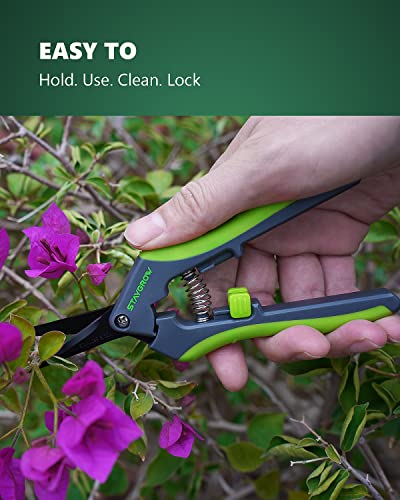 STAYGROW 6.5 Inch Straight & Curved Pruning Shears - Ultra Sharp Garden Scissors, 2-Pack