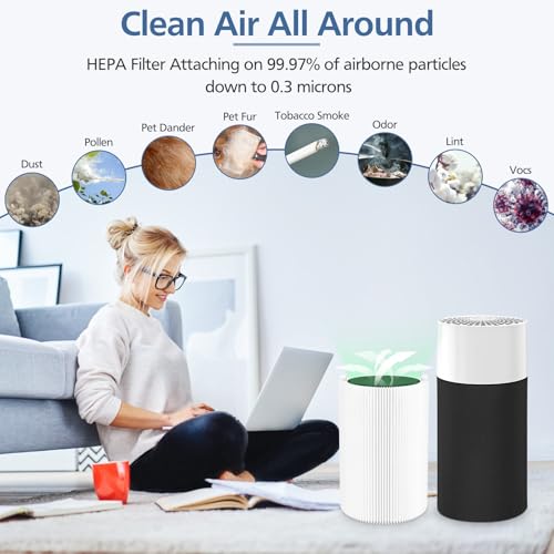 2 Pack Blue Pure Replacement Filter for Blueair 411 Auto/411/411+ - Cabiclean
