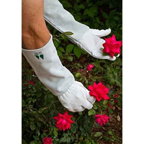 Leather Gardening Gloves by Fir Tree. Premium Goatskin Gloves With Cowhide Suede Gauntlet Sleeves. Perfect Rose Garden Gloves. Men's and Women's Sizes. M-8 (See Size Chart Photo)