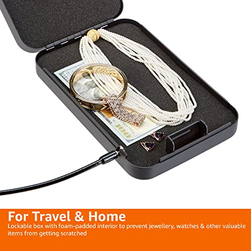 Amazon Basics XL Portable Security Case with Combination Lock for Valuables