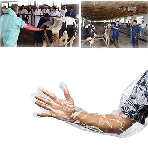 50 Pack Shoulder Length Gloves Veterinary Insemination Rectal Long Gloves Disposable Plastic Palpation Glove 35 Inch Long for Dogs Cattle Horse Gastrointestinal Examination Field Dressing