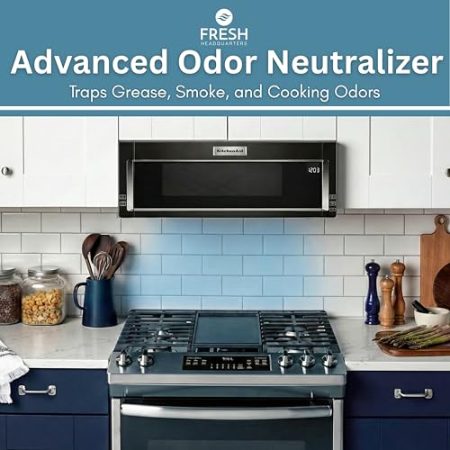 Notched 9.75" x 7.25" Activated Carbon Microwave Filter | W11282981 Replacement for Whirlpool/KitchenAid OTR — 2-Pack, Made in USA