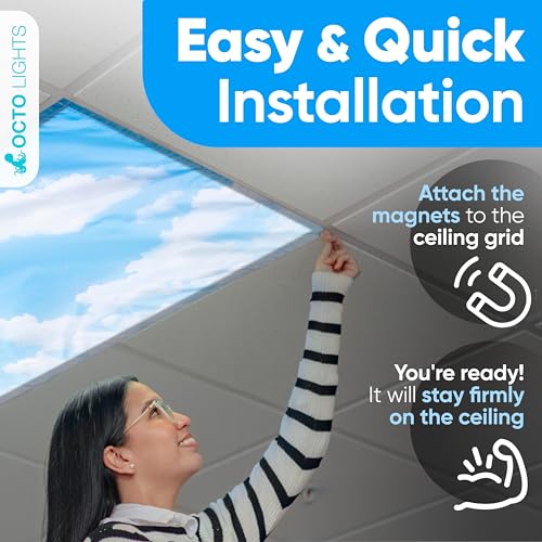 OCTO LIGHTS 4-Pack Magnetic Cloud Fluorescent Light Covers Classroom Safety