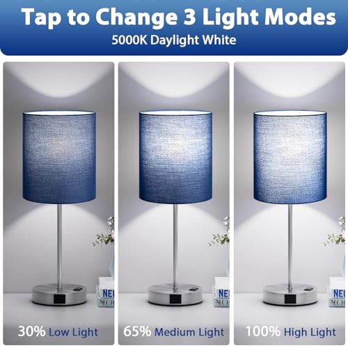 Fenmzee Touch Bedside Lamps Set of 2 - Blue-Silver, 17.6in Dimmable USB-C & AC Outlet