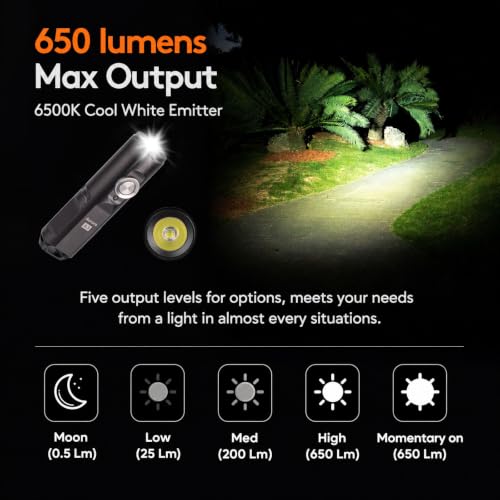 RovyVon G4-Grey Mini Keychain Flashlight 650 Lumens, USB-C Rechargeable