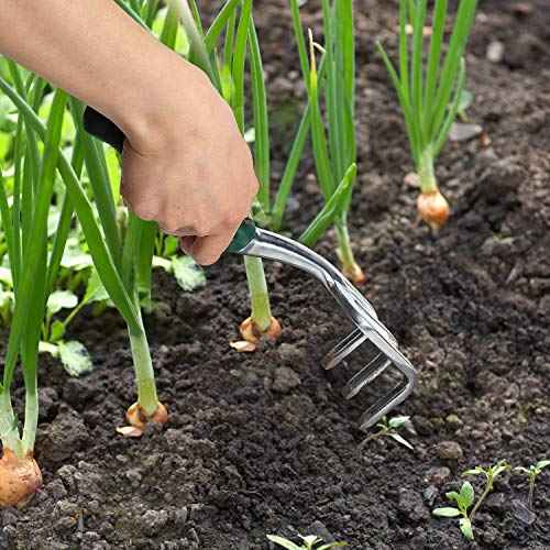 Mr. Pen Black Mini Hand Rake, Hand Cultivator, Garden Tool, 3 Prong Garden Rake, Manual Operation, Metal, Great for Weeding and Turning Soil