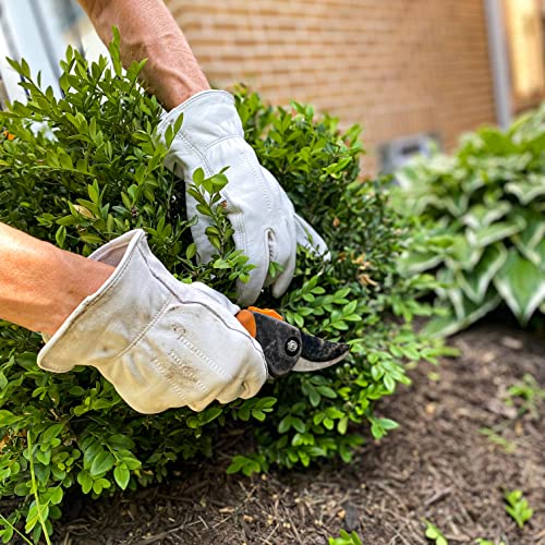 Wells Lamont Men¡¯s Full Leather Goatskin Work Gloves, Reinforced Palm Patch with Elastic Wrist, Soft Grain Leather for Durability, Comfort, and Dexterity