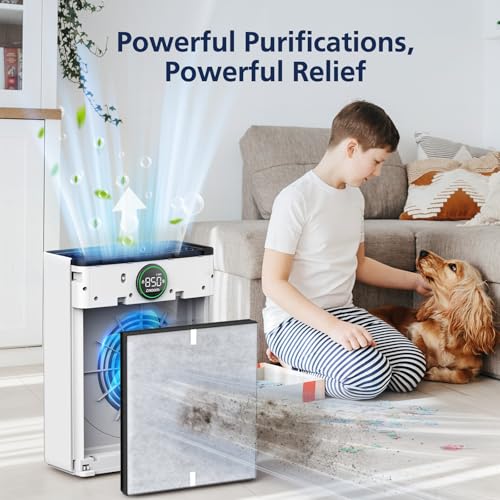 Cabiclean PR1 Replacement Filter for MOOKA PR1 Air Purifier White-PR1 Filter (2 Pack + 4 Washable Pre-Filters)