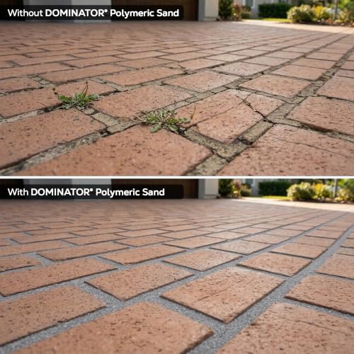 10 Pound Titanium Gray DOMINATOR Polymeric Sand with Ceramic Flex Technology for Paver Joints