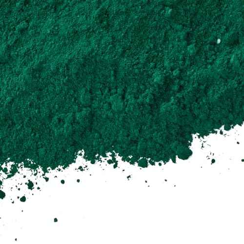 Green 7oz 0.44lb Iron Oxide Pigment Powder-Concrete Cement Dye Powder for Concrete, Cement, Brick, Tile, Clay, Lime, Mortar, Grout, Plaster, Paint, Bath Bombs Coloring(Green,0.44lb)