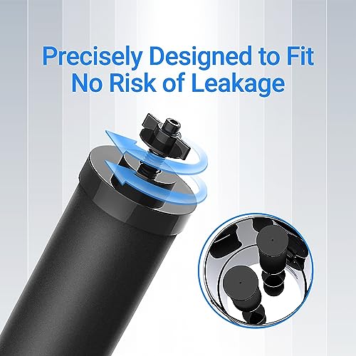 Filterlogic 2 Pack Gravity Water Filter Replacement for Berkey BB9-2® & Purewell