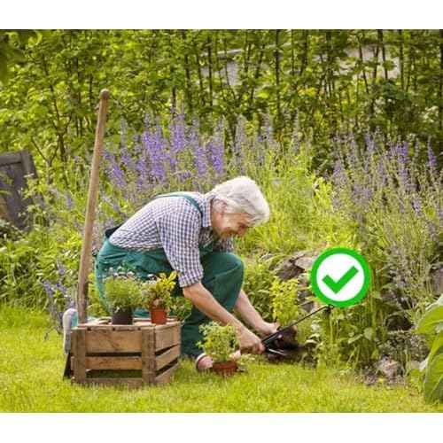 Weed Removal Tool, 2025 New Garden Weeding Tools Manganese Steel Hand Weeder Tool with Handle, 5 Teethes Dual Purpose Manual Weeders Tool Weed Pulling Tool for Garden (Black)