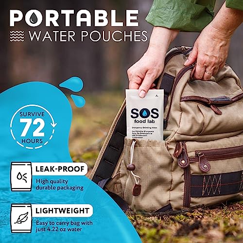 Emergency Drinking Water Pack - 62 Sachets, 4.22 oz Each, 5-Year Shelf Life, Portable Survival Water for Disaster Preparedness