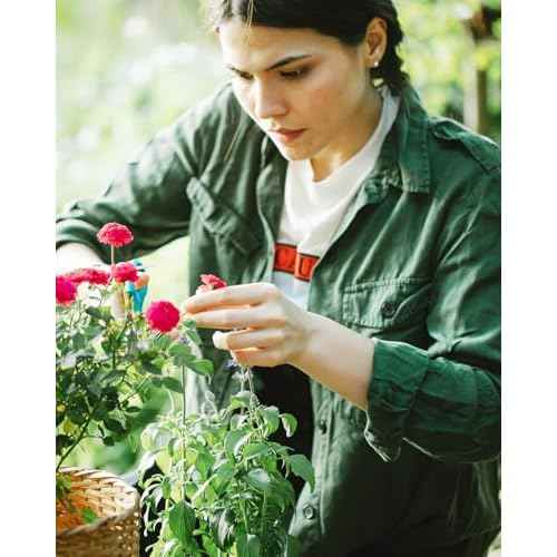 Flower Scissors - 4 Pcs Stainless Steel Flower Shears, Garden Plant Floral Shears for Fresh Flowers Stems (Blue, Green, Pink, Violet)