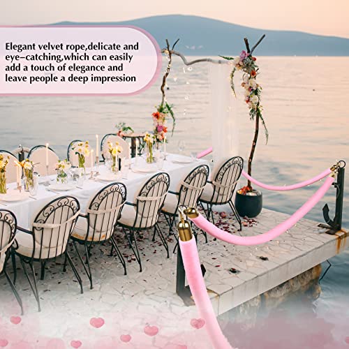 Riakrum 4 Pieces Pink Velvet Stanchion Rope 5 Feet Velvet Ropes with Gold Clasps for Party Hotels Wedding Movie Theaters Grand Openings Crowd Control Barrier Supplies