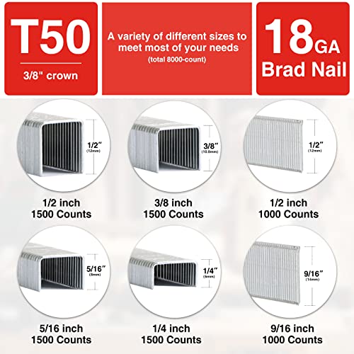 SHALL Heavy Duty T50 Staples & 18GA Brad Nails Combo Kit - 8000 Count, Multiple Sizes