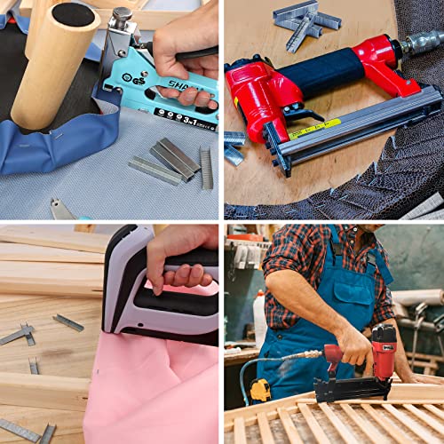SHALL Heavy Duty T50 Staples & 18GA Brad Nails Combo Kit - 8000 Count, Multiple Sizes