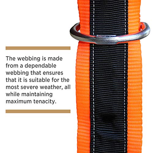 AFP 4¡¯ Cross Arm Strap Premium Heavy-Duty Pass-Through Double Steel Ring, Safety Fall Protection Anchorage Connector (OSHA/ANSI) PPE 1 Pack