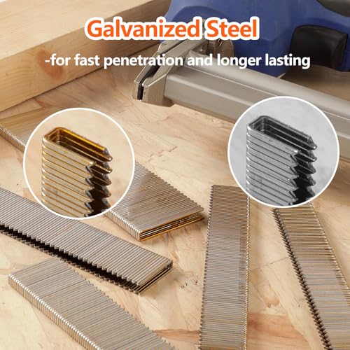 1000-Count 1/2 Inch Length, 18 Gauge 1/4 Inch Narrow Crown Staples, Heavy Duty Beveled Chiseled Pointed Galvanized Staples, for Pneumatic, Electric 18GA Stapler Gun