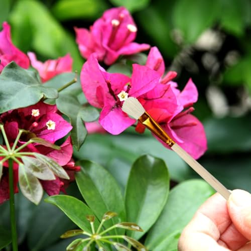 10PCS Manual Pollination Brush Set Pollinator Tool Handheld Garden Pollination Brush for Vegetable Flower Fruit Tree