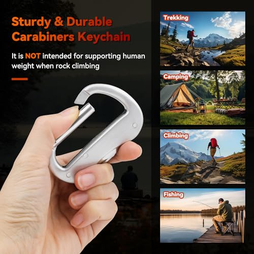 Multitool Carabiner with Pocket Knife, Bottle Opener,Nail file,Small Scissors,EDC Carabiners Keychain with Folding Knives,Auxiliary Tools for Camping,Hiking,Outdoor Activities(Silver)