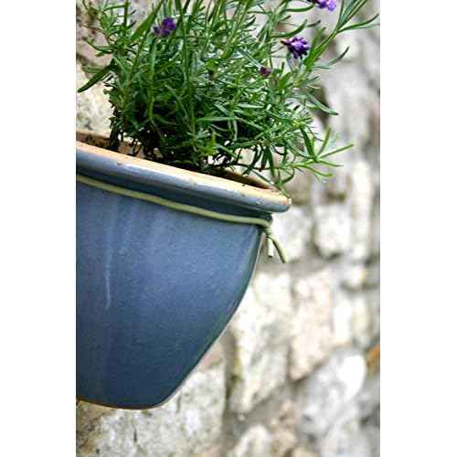 50-3010 Haxnicks Slim Soft Tie for Plants & Trees, 26.3', Green, 26.5