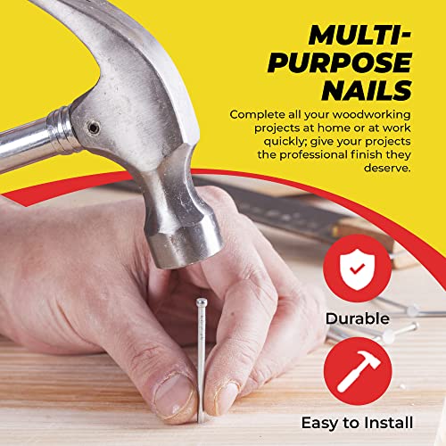 Qualihome Nail Assortment Kit - 1800+ Multi-Size Nails for DIY & Professional Projects