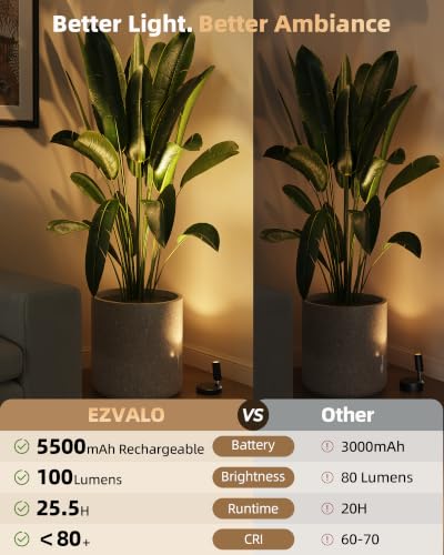 EZVALO Black Rechargeable Indoor Spotlights for Wall Display, 2 Pack